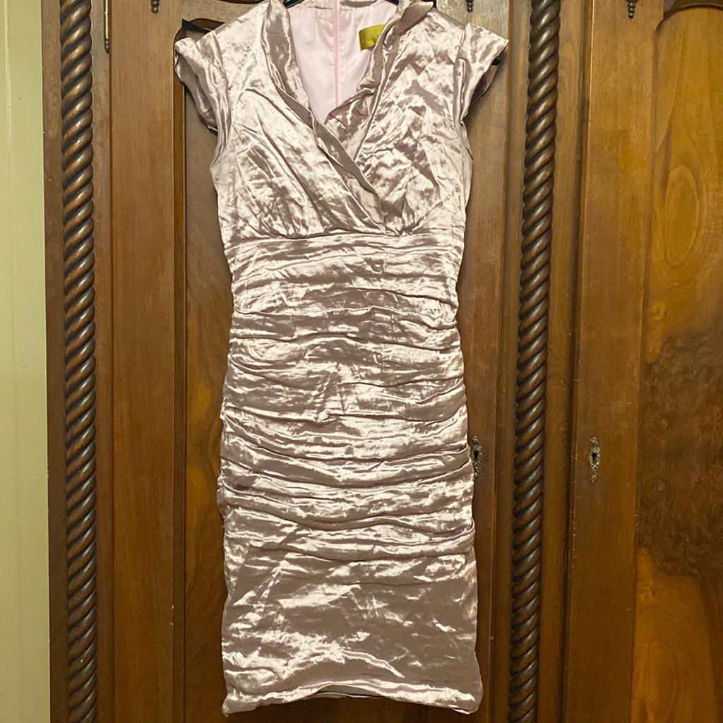 Nicole Miller Techno Metal Rouched Dress - Dusty Pink